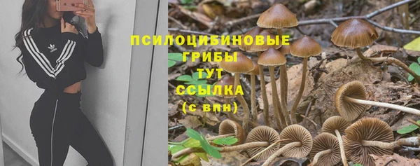 стаф Белоозёрский