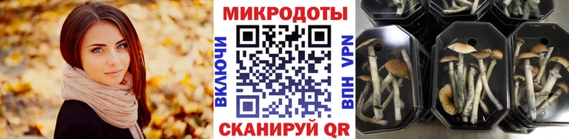 Псилоцибиновые грибы Psilocybine cubensis  Игра 
